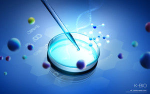 "연구비 수령부터 시너지 창출까지"...'제약사·바이오텍' 공동연구 활발 - 뉴스 썸네일 이미지