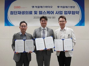 카지노 룰렛 사이트