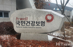지역가입자 건강보험료 인상 관련 이미지