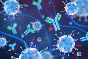첫 PROTAC 치료제 '베파누' FDA 승인... K-기업들도, TPD 공략 중 - 뉴스 썸네일 이미지