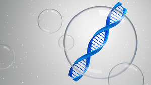 '원형 RNA' 앞세운 알지노믹스, 로킷 손잡고 재생·항노화 확장 - 뉴스 썸네일 이미지