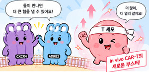 "GPCR 커플 동시 겨냥... CAR-T '부스터' 가능성을 발견했다" - 뉴스 썸네일 이미지